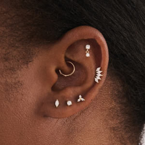 Studs Earscape